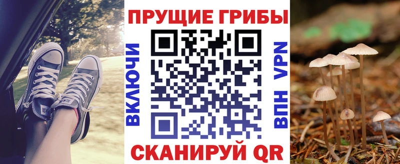 Псилоцибиновые грибы прущие грибы  Нязепетровск 