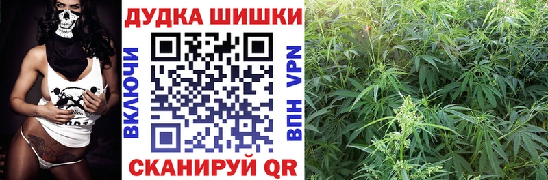 кракен онион  Нязепетровск  Канабис план 